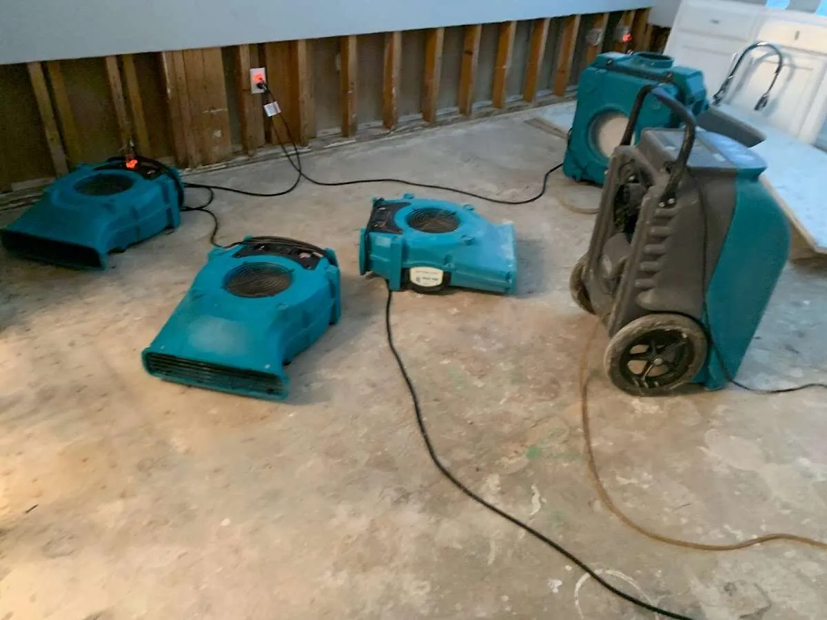 Mold Remediation & Removal in Rock Springs, WY